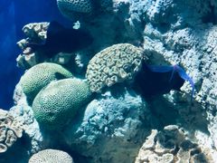 -福州罗源湾海洋世界旅游区