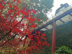 -宋宴(虎跑店)
