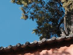 -寂照庵