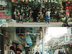 -溪岸路花鸟市场