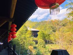 -大唐贡茶院
