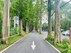 -东明山森林公园