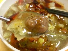 -清真李唯一优质肉丸糊辣汤
