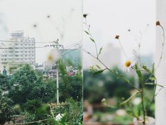 -悟饮门市景店
