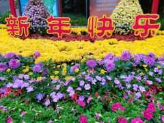 -炮台山公园
