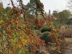 -宝界山林公园