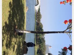 -映月湖公园