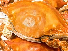 -北塘海鲜·天津菜(大光明桥旗舰店)