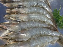 -韩乔恩·韩式自助·无限烤肉(新迎新城店)