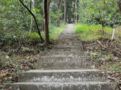 -广州市帽峰山景区