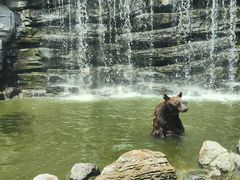 -北京野生动物园