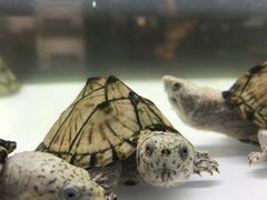-王府井百货熙地港店