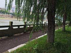 -西昌藿香火盆烧烤(金西路店)