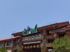 -南宫五洲植物乐园