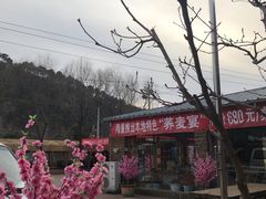 -龙福源密云水库灶台鱼