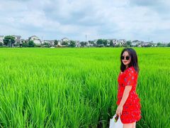 -桤木河湿地公园