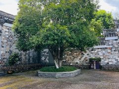 -清漾毛氏文化村