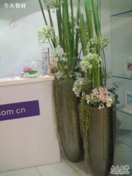 -麦莎MA3A摄影工作室(美兰金邸店)