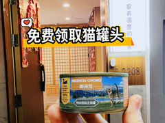-猫十亿·布偶金渐层·曼基康矮脚猫舍(青年路店)
