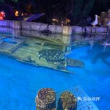 南京海底世界夜场开了[吐]