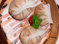 -点都德·毕德寮