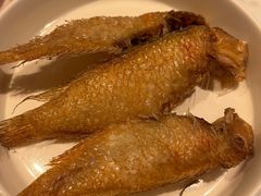 -MR鹅外