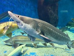 -多彩贵州城极地海洋世界