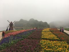 -广州市石门国家森林公园