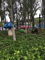 -大望京儿童游乐场