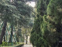 -上海市龙华烈士陵园