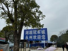 -上甘棠村