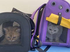 -萌兽医馆·犬猫专科·眼科中心·宠物医院(朝阳门分院)