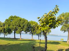 -漕湖湿地公园