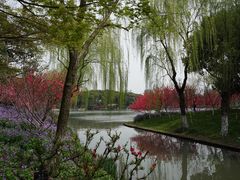 -圩墩遗址公园