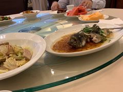 清正珍珠龙趸-海逸海鲜酒家(古北店)