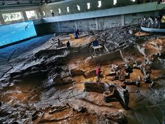 -自贡恐龙博物馆