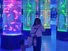 -左海海底世界