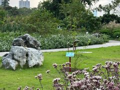 -广西壮族自治区药用植物园