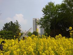 -圩墩遗址公园