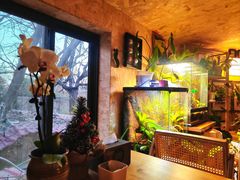 -Rabbit Cafe私房西餐甜点咖啡(栖霞路店)