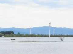 -野鸭湖国家湿地公园