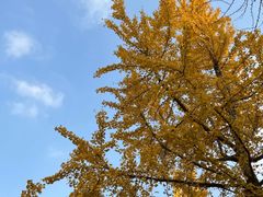 -老鼎万春卤菜(五代传承创始老店)