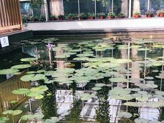 -常州花鸟园酒店(西太湖品牌优选店)