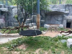 -青藏高原野生动物园