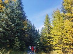 -芦芽山旅游度假区