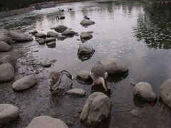 -西安秦岭野生动物园