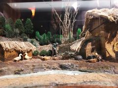 -邱少云烈士纪念馆