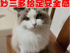 -瑞鹏宠物医院·爱宠堂·骨外专科(西荷分院)