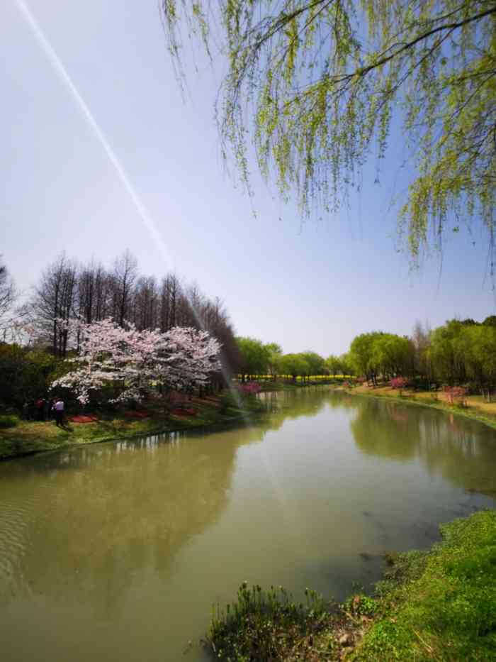 顾村公园-"面积非常大的一个公园,公园分区非常的明确.