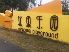 -铁山坪森林公园